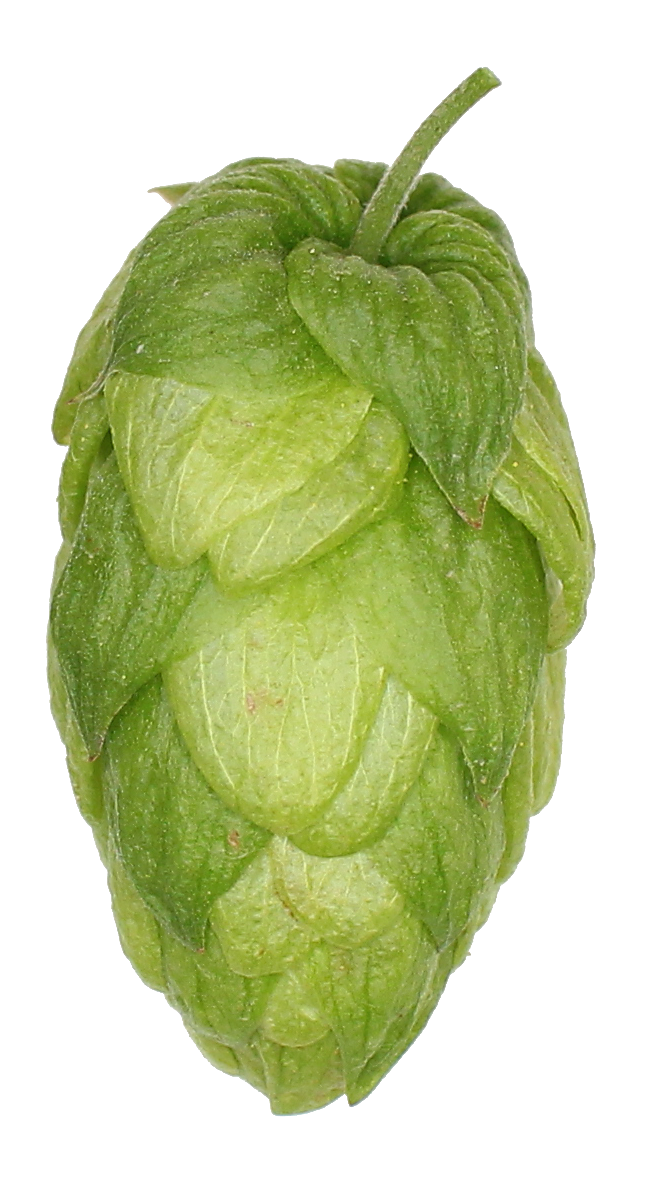 German Solero Hop Pellets