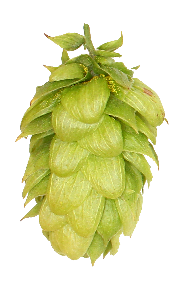 Ernest Leaf