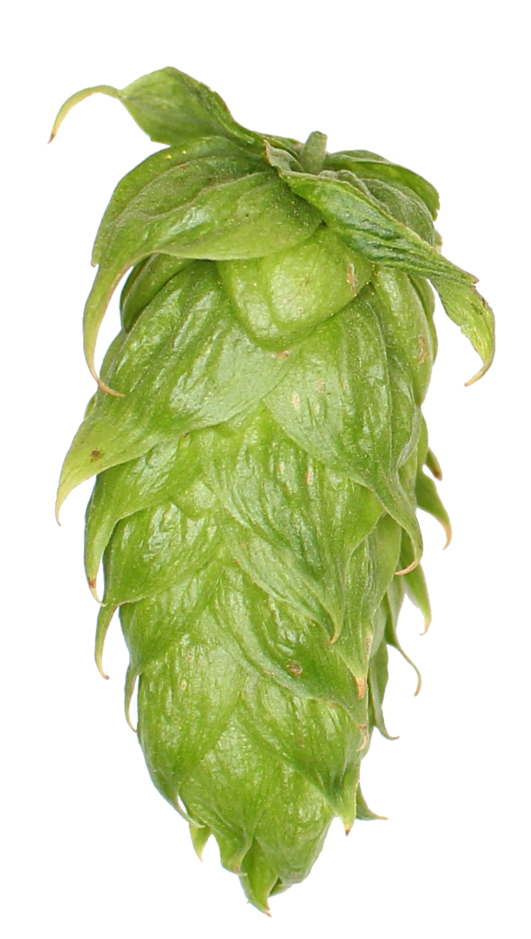 Calypso Hop Pellets